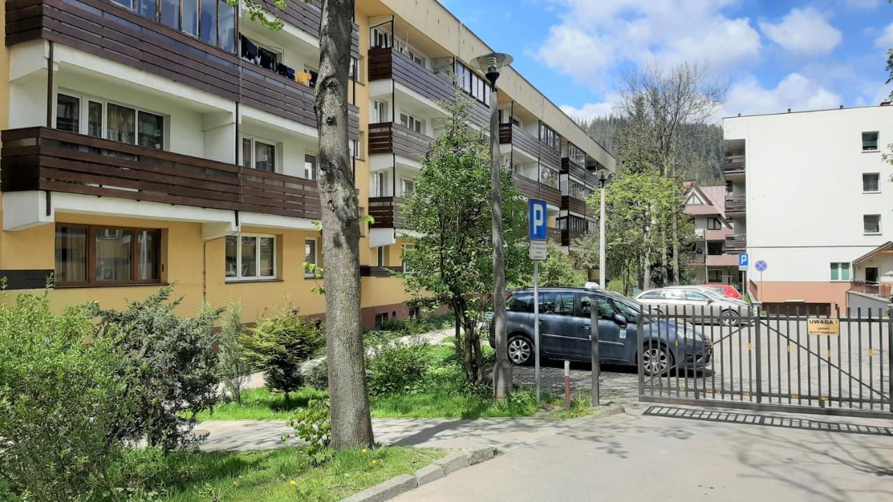 Studio Mila I Nido W Centrum Apartzakop Zakopane Exteriör bild